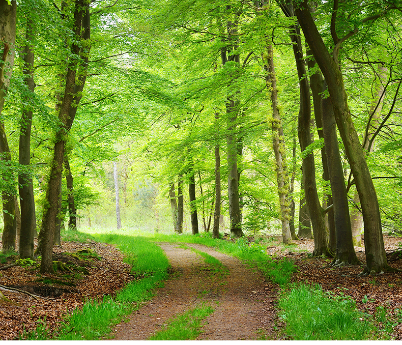 美國(guó)?？?_02_02